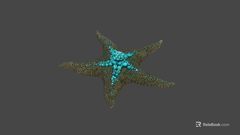 Detailed Vibrant Starfish With Green Brown Body And Blue Central Patterns 3d model 