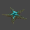Detailed Vibrant Starfish With Green Brown Body And Blue Central Patterns