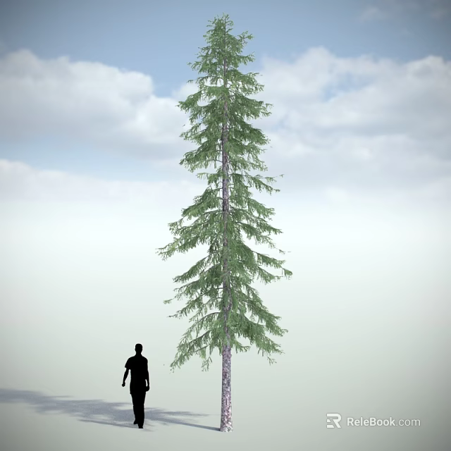 Tall Arbor with Lush Green Foliage against Blue Sky and White Clouds and Human Silhouette 3d model 
