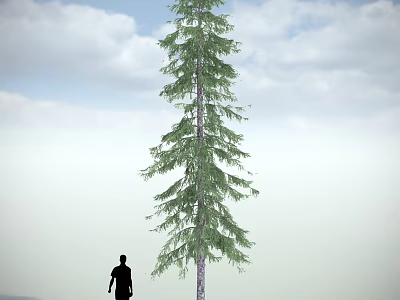 Tall Arbor with Lush Green Foliage against Blue Sky and White Clouds and Human Silhouette 3d model