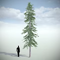 Tall Arbor with Lush Green Foliage against Blue Sky and White Clouds and Human Silhouette