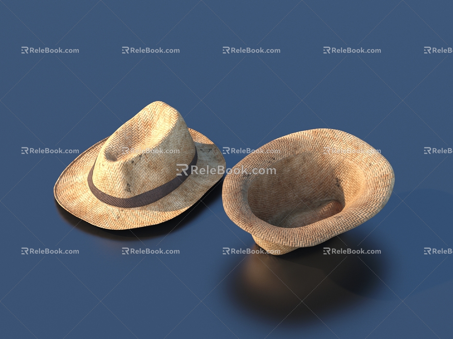 Hat Hat Fashion Hat 3d model