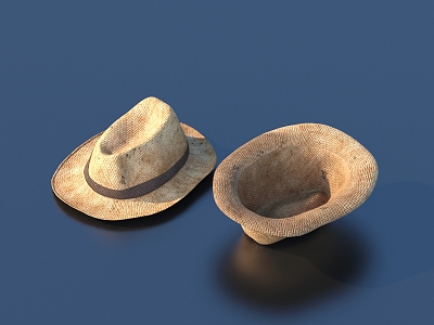 Hat Fashion Hat 3d model