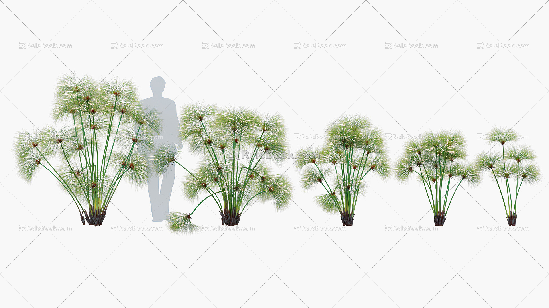 Modern Plant Papyrus Plant 3d model