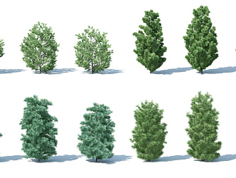 Modern Tree Shrub 3d model