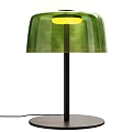 Modern Green Table Lamp with Transparent Dome Shade Black Metal Stand and Warm Yellow Light