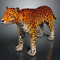 Stunning Leopard Displaying Vibrant Orange Fur With Black Spots In Natural Standing Posture