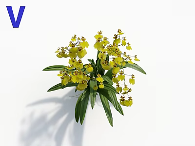 Beautiful Yellow Orchids Bouquet With Green Leaves On White Background 3d model