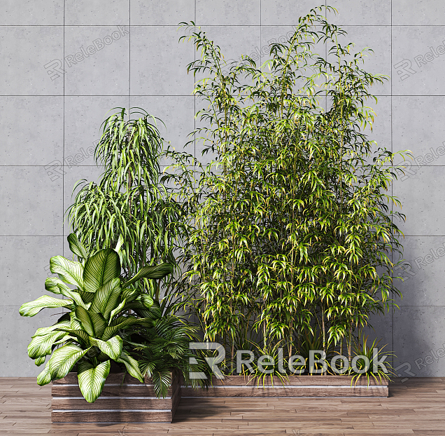 Modern bamboo outdoor plant bamboo combination model