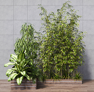 Modern bamboo outdoor plant bamboo combination 3d model