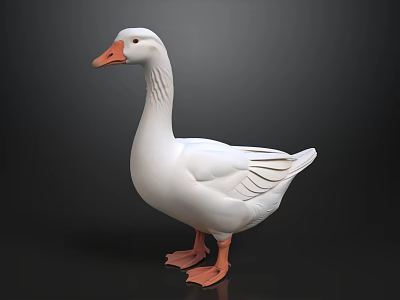 Realistic White Goose With Orange Beak And Feet On Dark Background 3d model