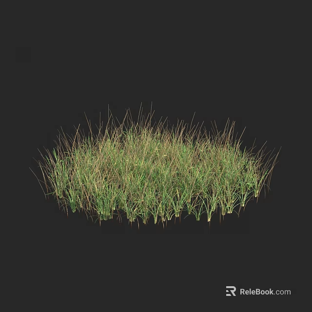 Lush Green Grass Clump With Natural Texture On Dark Background 3d model 