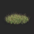 Lush Green Grass Clump With Natural Texture On Dark Background 3d model