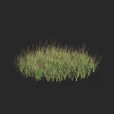 Lush Green Grass Clump With Natural Texture On Dark Background 3d model