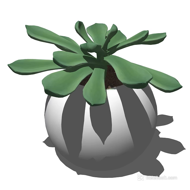 Indoor Bonsai Potted Plant With Lush Green Leaves In White Pot 3d model 
