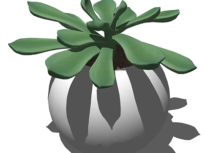 Indoor Bonsai Potted Plant With Lush Green Leaves In White Pot 3d model