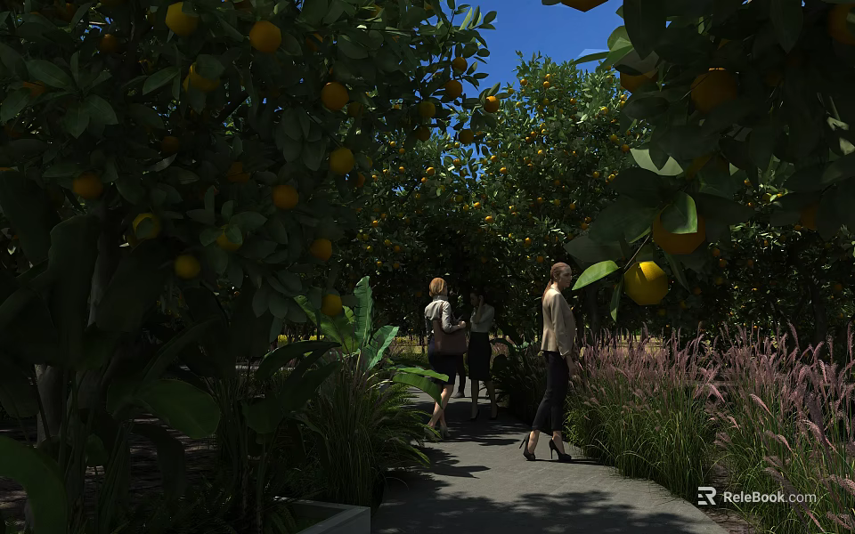 Citrus Garden Landscape With Fruit Laden Trees Pathway And People Walking 3d model 