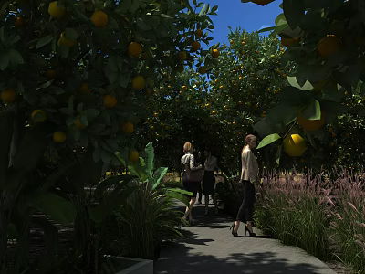 Citrus Garden Landscape With Fruit Laden Trees Pathway And People Walking 3d model