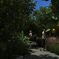 Citrus Garden Landscape With Fruit Laden Trees Pathway And People Walking