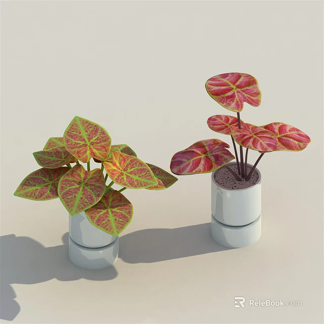 Bonsai Potted Plants With Red Green Variegated Leaves In White Cylindrical Pots 3d model 
