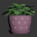 Green Houseplants In Pink Flower Pots With Blue Wave And White Polka Dot Patterns