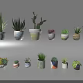 Various Small Decorative Bonsai and Potted Plants with Colorful Ceramic Pots for Indoor Home Decoration