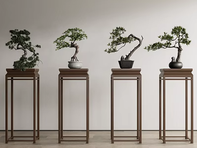 Four Traditional Bonsai Plants On Tall Wooden Stands With Light Background 3d model