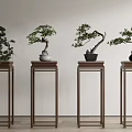 Four Traditional Bonsai Plants On Tall Wooden Stands With Light Background