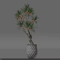 Indoor Tropical Plant with Green Leaves and Orange Fruits in White Honeycomb Textured Pot