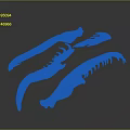 Animal Claw Skeletal Structure Detailed Anatomical Features For Biological Study And Research