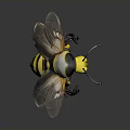 Realistic 3D Model Bee With Yellow Black Stripes In Aggressive Stance On White Background