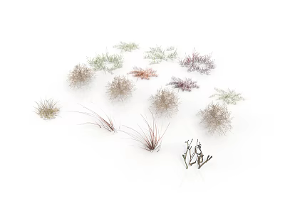 Various Small Plants With Different Colors And Shapes On White Background 3d model
