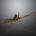 Detailed Carved Wooden Dragon Sculpture With Long Body And Open Mouth Artistic Design