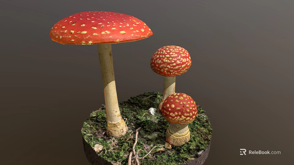 Vibrant Red White Spotted Mushrooms In Various Sizes Growing On Moss And Twigs Natural Habitat 3d model 