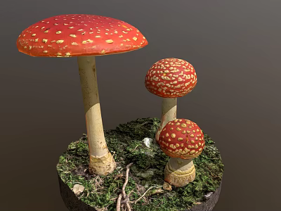 Vibrant Red White Spotted Mushrooms In Various Sizes Growing On Moss And Twigs Natural Habitat 3d model