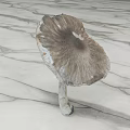 Single Fresh Brown Mushroom Vegetable With Textured Cap On Marble Surface 3d model