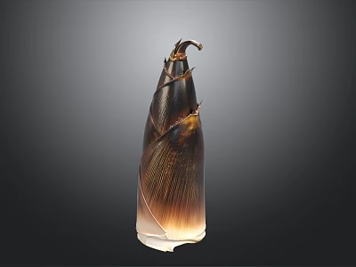 Fresh Natural Bamboo Shoot With Brown Outer Layers And Tender Texture 3d model