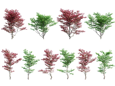 Arbor Trees with Various Red and Green Foliage in Rows 3d model
