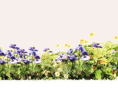 Vibrant Outdoor Flowers with Purple Blooms Yellow Petals and Green Leaves Growing Lushly in Garden 3d model
