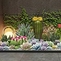 Beautiful Succulent Plants Garden with Cactus Colorful Varieties and Green Vines