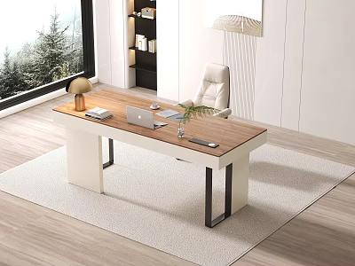 Modern Desk with Wooden Top Laptop Lamp Green Plant White Chair Window View and Bookshelf 3d model