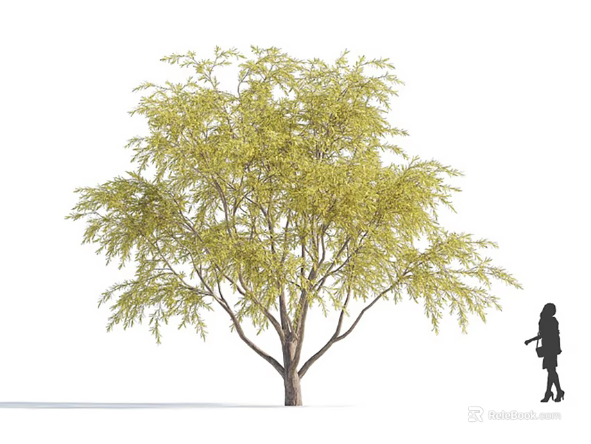 Tall Lush Arbor With Green Leaves Strong Trunk And Little Girl Silhouette 3d model 
