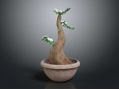 Potted Plant with Curved Trunk Green Leaves and White Flowers in Ceramic Pot Dark Background 3d model