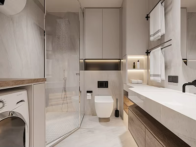 Modern Bathroom With Enclosed Shower Toilet Vanity And Washing Machine 3d model