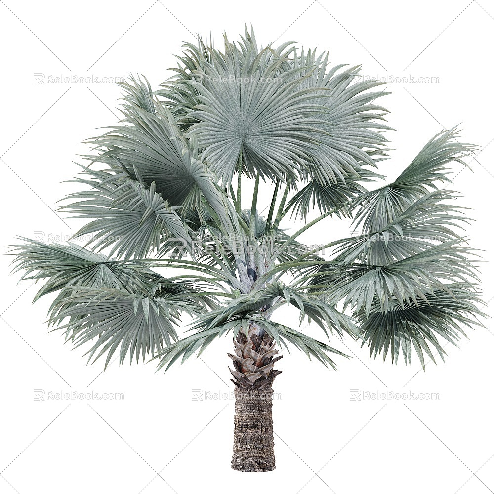 modern palm tree overlord brown 3d model