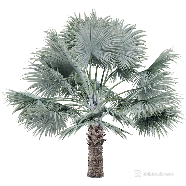 Lush Tropical Arbor Palm Tree With Green Fan Shaped Leaves And Sturdy Brown Trunk 3d model 