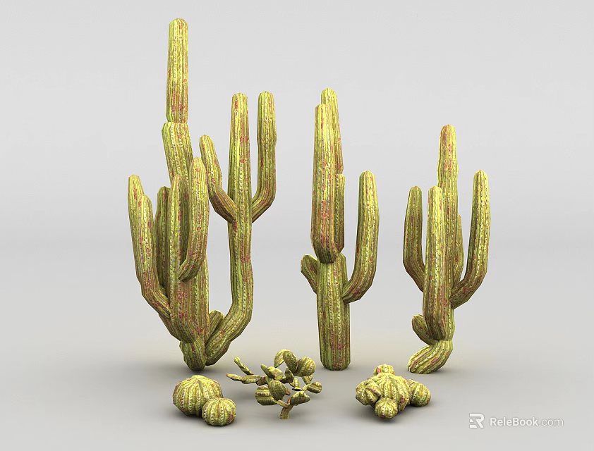 Green Cactus Succulent Plants With Various Sizes Shapes And Small Pads 3d model 