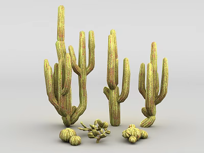 Green Cactus Succulent Plants With Various Sizes Shapes And Small Pads 3d model