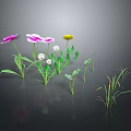 Vibrant Garden Plants With Pink Purple Yellow Flowers Green Leaves And Grass