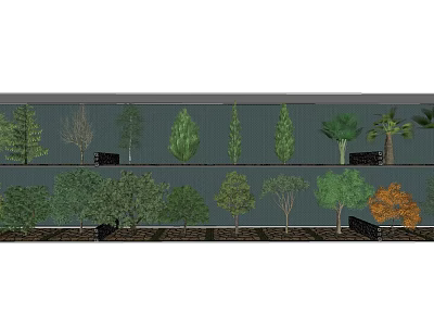 Various Arbor Species With Different Foliage Shapes Heights And Seasonal Features 3d model